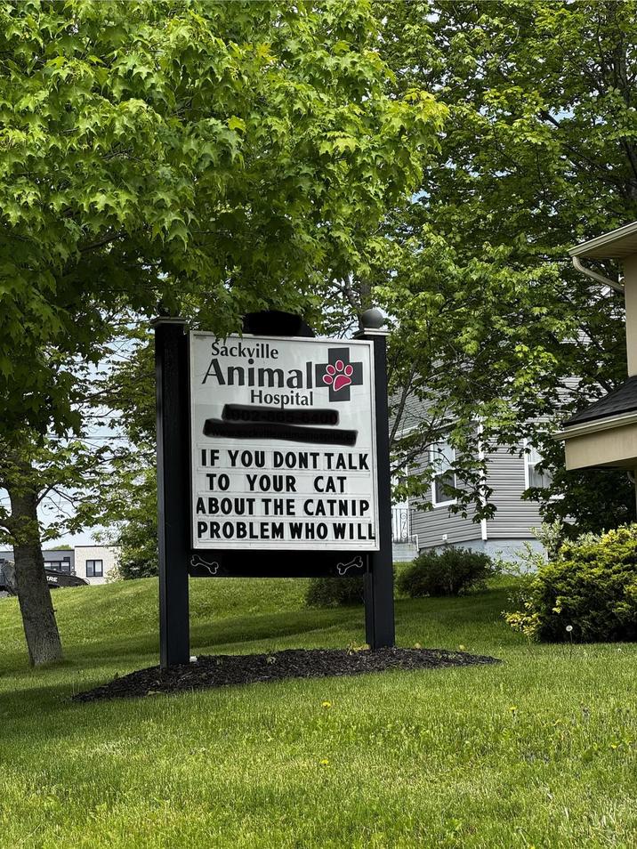 Sackville Animall Hospital IF YOU DONT TALK TO YOUR CAT ABOUT THE CATNIP PROBLEM WHO WILL