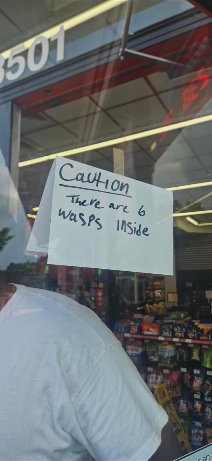 501 Caution There are 6 Wasps Inside an