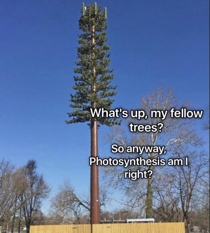 What's up, my fellow trees? So anyway, Photosynthesis am I right?