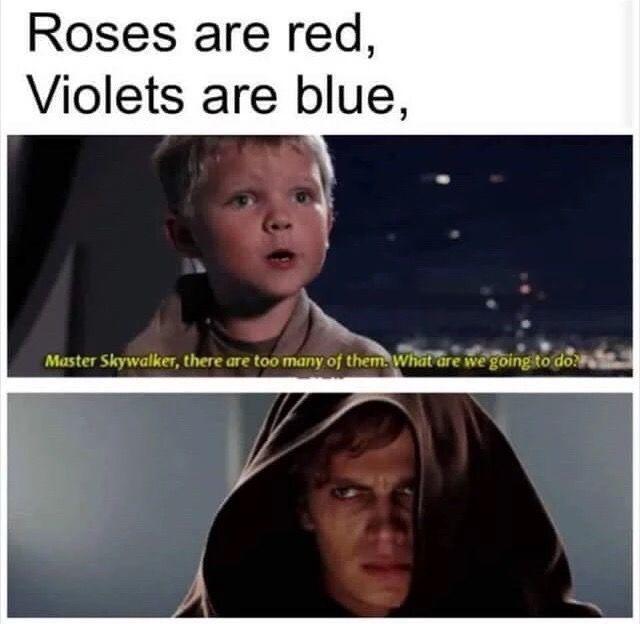 Roses are red, Violets are blue, Master Skywalker, there are too many of them. What are we going to do?
