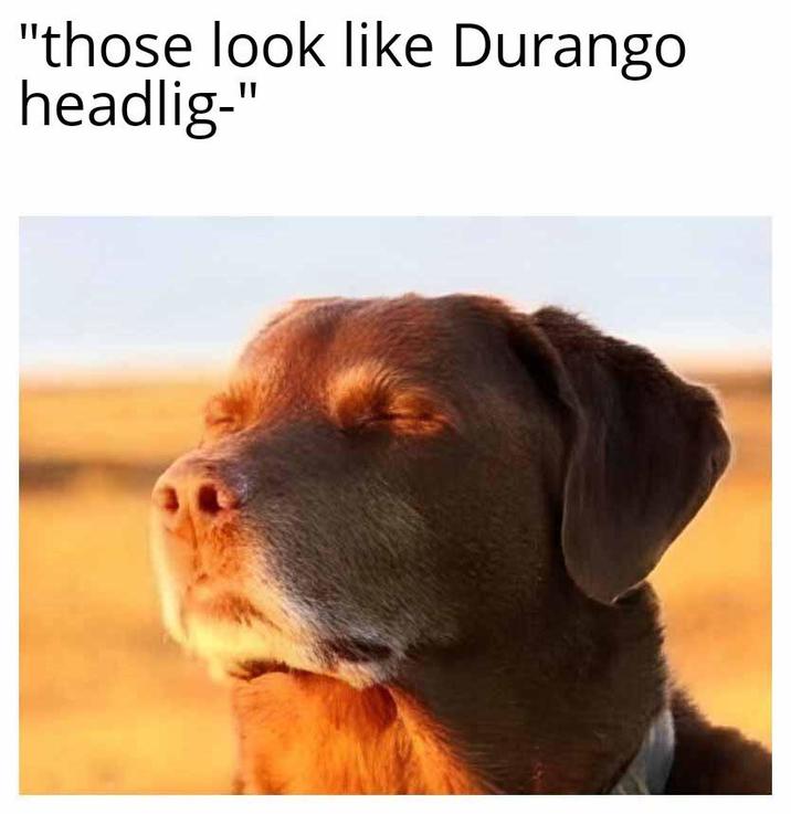 "those look like Durango headlig-"