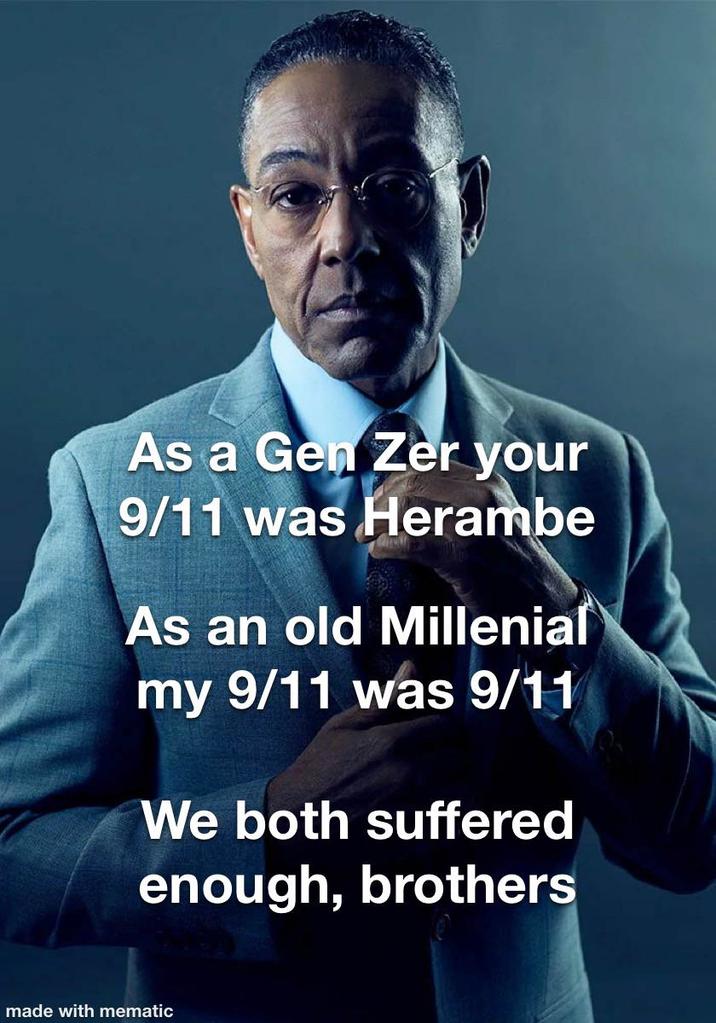As a Gen Zer your 9/11 was Herambe As an old Millenial my 9/11 was 9/11 We both suffered enough, brothers made with mematic