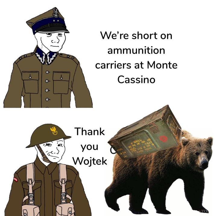 DLAND CO UDI IDI We're short on ammunition carriers at Monte Cassino Thank you Wojtek Pt/C 10/44 681 SHELL 7517 25 PR HE MK 19 FZD 119 B MK 8 Cafe 100G