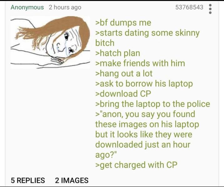 Anonymous 2 hours ago 5 REPLIES 2 IMAGES >bf dumps me 53768543 >starts dating some skinny bitch >hatch plan >make friends with him >hang out a lot >ask to borrow his laptop >download CP >bring the laptop to the police >"anon, you say you found these images on his laptop but it looks like they were downloaded just an hour ago?" >get charged with CP