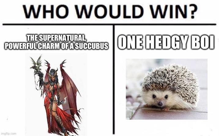 WHO WOULD WIN? THE SUPERNATURAL, POWERFUL CHARM OF A SUCCUBUS ONE HEDGY BOI imgflip.com