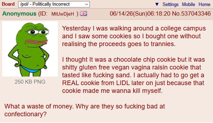 Board /pol/ - Politically Incorrect Anonymous (ID: MtUwDjeH) IN 250 KB PNG Settings Mobile Home 06/14/26(Sun)06:18:20 No.537043346 Yesterday I was walking around a college campus and I saw some cookies so I bought one without realising the proceeds goes to trannies. I thought It was a chocolate chip cookie but it was s----- gluten free vegan vagina raisin cookie that tasted like f------ sand. I actually had to go get a REAL cookie from LIDL later on just because that cookie made me wanna kill myself. What a waste of money. Why are they so f------ bad at confectionary?