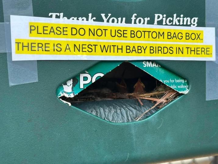 Thank You for Picking PLEASE DO NOT USE BOTTOM BAG BOX. THERE IS A NEST WITH BABY BIRDS IN THERE. SMAN PC kyou for being a ublic walkwa