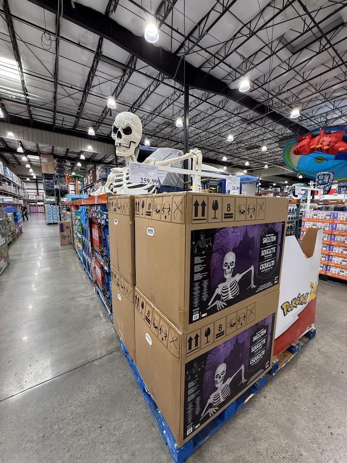 259.99 24.99 8 X SKELETON SQUELETTE Be SKELETON SQUELETTE ESQUELETO