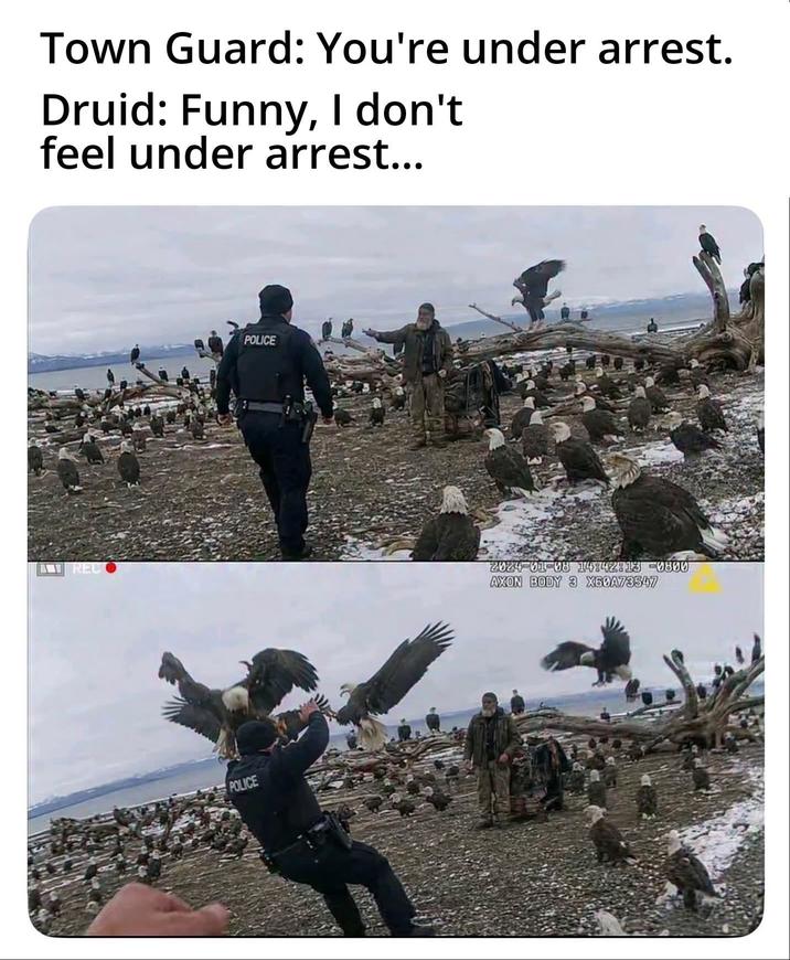 Town Guard: You're under arrest. Druid: Funny, I don't feel under arrest... POLICE RECI 2024-01-08 14:42:13 -0800 AXON BODY 3 X60A73547 POLICE
