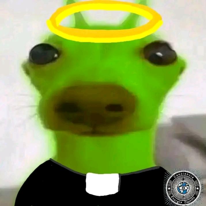 

The alien dog with a halo and priest's clothing also emerged within the Facebook community as a satire of the regulatory structure managed by AI on Facebook, due to the fact that the AI always confused images and deleted memes for no reason. In the new profile of Apa Satanll, he used this image created in Ibis Paint. The image gained relevance as it started to gain visibility on the profile where it was posted, reaching videos with 28 million views and 23 thousand followers. However, by the end of 2025, that profile was deleted by Meta due to several copyright claims. When it seemed like everything was over, Apa Satanll created a new profile, which was also quickly taken down. But that didn’t stop him; he created another new profile with a clear idea: Facebook uses image recognition to detect similar accounts. For a while, he posted a meme of the green dog and then came up with the idea of asking his friends to use the photo of the alien dog with a halo to confuse Meta's AI. And that’s when everything spiraled out of control; it wasn’t just 10 people who used the photo, but about 300, causing an impressive chain reaction, so much so that a Messenger group was formed where all the alien dogs gathered to this day.

And if I am Apa Satanll, I leave this in this forum because I know where I'm going and where we are going. I don't want to just disappear; I want to leave a mark, even if it's small.