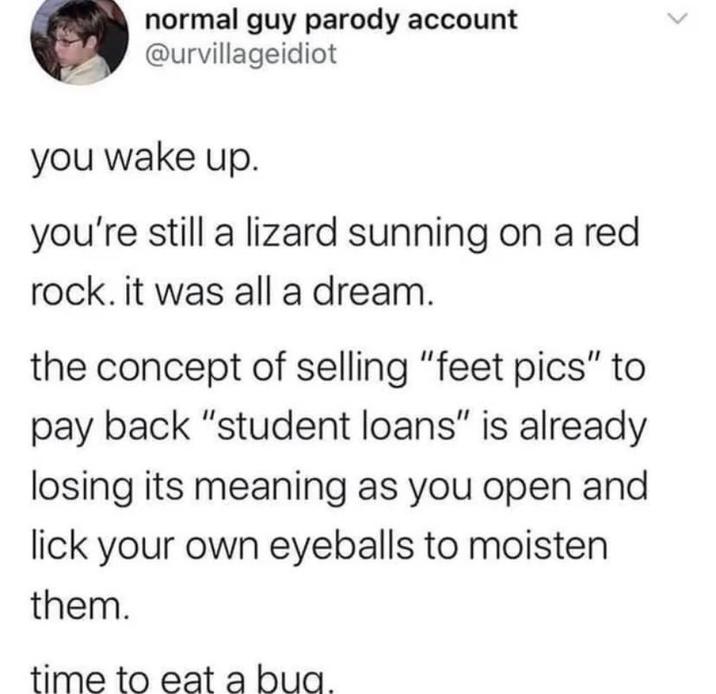 normal guy parody account @urvillageidiot you wake up. you're still a lizard sunning on a red rock. it was all a dream. the concept of selling "feet pics" to pay back "student loans" is already losing its meaning as you open and lick your own eyeballs to moisten them. time to eat a bug. <