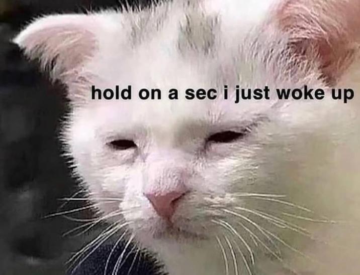 hold on a sec i just woke up