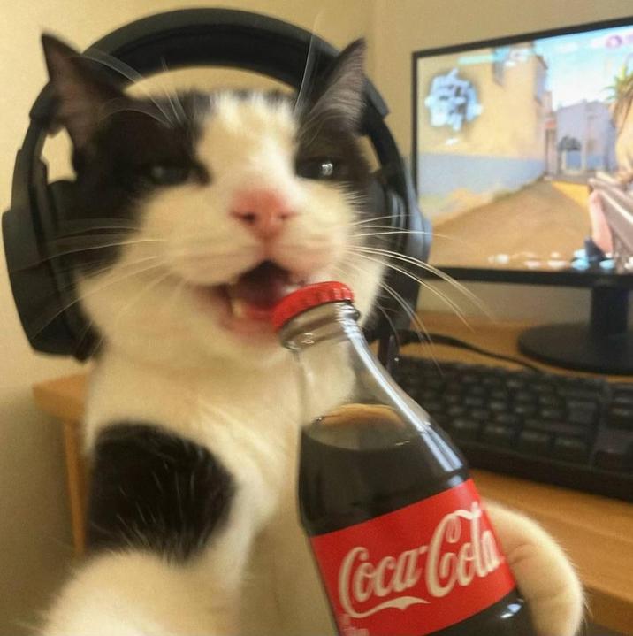 Coca-Cola