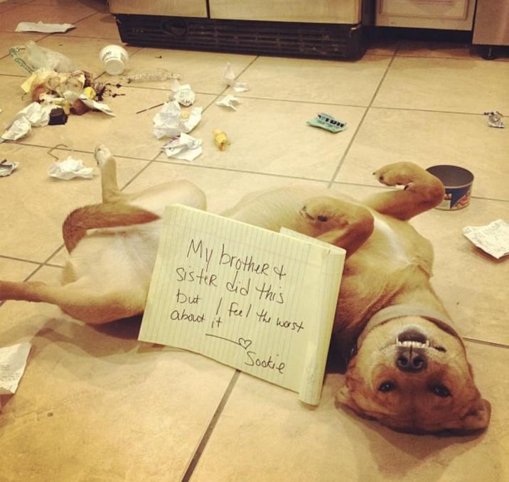 My brother + Sister did this but feel the worst about it B Sookie