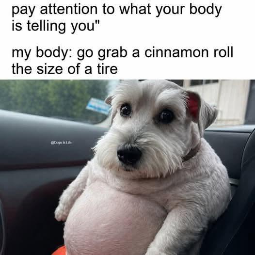 pay attention to what your body is telling you" my body: go grab a cinnamon roll the size of a tire Ooge is Life
