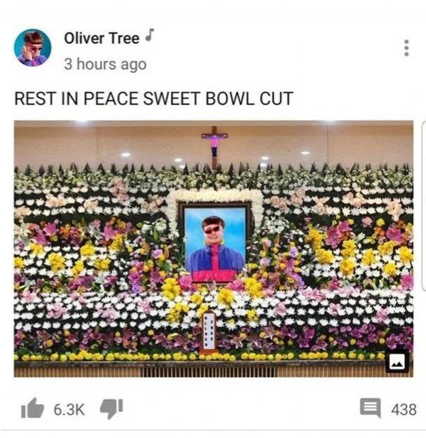 Oliver Tree 3 hours ago REST IN PEACE SWEET BOWL CUT 6.3K 600 438