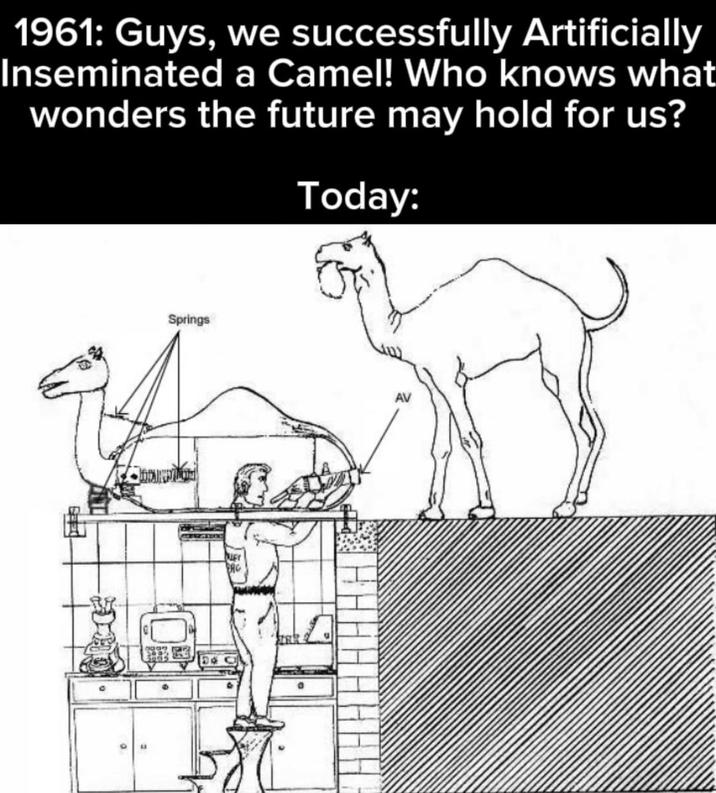 1961: Guys, we successfully Artificially Inseminated a Camel! Who knows what wonders the future may hold for us? Today: Springs LEY I H H H AV
