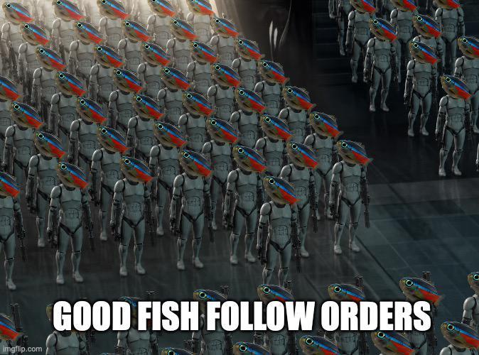 imgflip.com GOOD FISH FOLLOW ORDERS