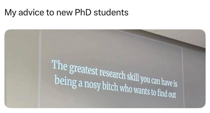 My advice to new PhD students The greatest research skill you can have is being a nosy bitch who wants to find out