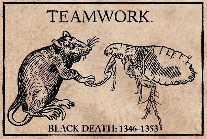 TEAMWORK. TEETY BLACK DEATH: 1346-1353
