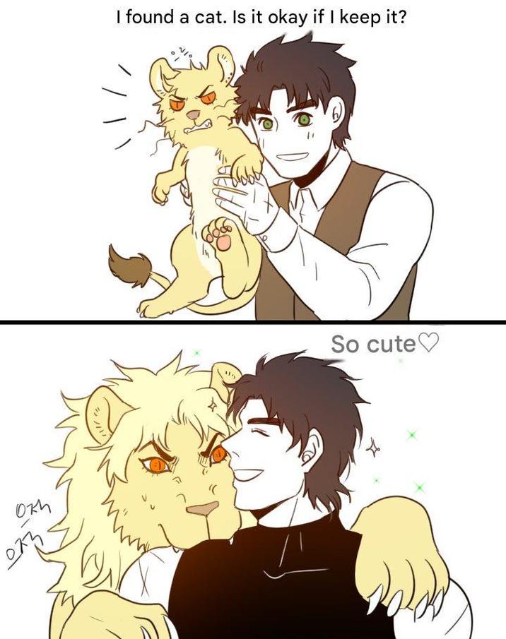 оки I found a cat. Is it okay if I keep it? So cute