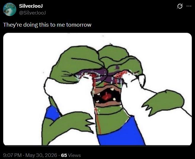 SilverJooJ @SilverJooJ They're doing this to me tomorrow 9:07 PM - May 30, 2026 65 Views