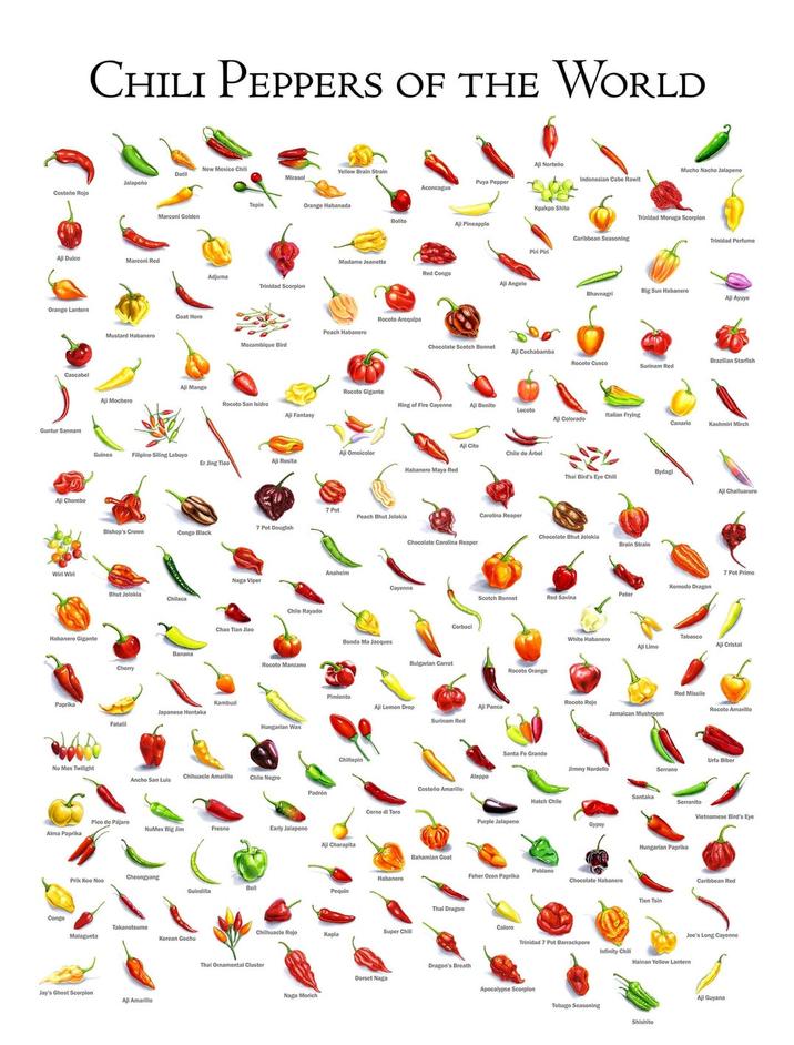 CHILI PEPPERS OF THE WORLD All Norteño New Mexico Chill Yellow Brain Strain Mucho Nacho Jalapeno Datil Mirasol Indonesian Cabe Rawit Puya Pepper Jalapeño Aconcagua Costeño Rojo Tepin Orange Habanada Marconi Golden Bolito Aji Pineapple Aji Dulce Marconi Red Adjuma Trinidad Scorpion Orange Lantern Cascabel Guntur Sannam Aji Chombo Wirl Wil Mustard Habanero Goat Horn Madame Jeanette Red Congo All Angelo Rocoto Arequipa Peach Habanero Mozambique Bird Aji Mango Aji Mochero Rocoto San Isidro Aji Fantasy Kpakpo Shito Trinidad Moruga Scorpion Caribbean Seasoning Trinidad Perfume Piri Piri Big Sun Habanero Bhavnagri Aji Ayuyo Chocolate Scotch Bonnet Aji Cochabamba Rocoto Cusco Brazilian Starfish Surinam Red Rocoto Gigante Ring of Fire Cayenne Aji Benito Locoto Italian Frying Aji Colorado Canario Kashmiri Mirch Guinea Filipino Siling Labuyo Aji Omnicolor Aji Rosita Er Jing Tiao Habanero Maya Red Habanero Gigante Paprika Bishop's Crown 7 Pot Douglah Congo Black Naga Viper Bhut Jolokia Chilaca Banana Cherry Chao Tian Jiao Kambuzi Japanese Hontaka Fatali Chile Rayado Rocoto Manzano Hungarian Wax. 7 Pot Peach Bhut Jolokia Aji Cito Chile de Árbol Chocolate Carolina Reaper Anaheim Cayenne Corbaci Bydagi Thai Bird's Eye Chili Carolina Reaper Chocolate Bhut Jolokia Brain Strain Aji Challuaruro 7 Pot Primo Komodo Dragon Peter Scotch Bonnet Red Savina Bonda Ma Jacques Bulgarian Carrot Rocoto Orange Pimiento Aji Lemon Drop- Aji Panca Surinam Red Chiltepin Nu Mex Twilight Ancho San Luis Chihuacle Amarillo Chile N---- Padrón Corno di Toro Pico de Pájaro NuMex Big Jim Fresno Early Jalapeno Alma Paprika Aji Charapita Congo Prik Kee Noo Cheongyang Bell Guindilla Takanotsume Malagueta Korean Gochu Jay's Ghost Scorpion Aji Amarillo Habanero Pequin Chilhuacle Rojo Super Chill Kapla Thai Ornamental Cluster Aleppo Costeño Amarillo Tabasco White Habanero Aji Limo All Cristal Rocoto Rojo Jamaican Mushroom Santa Fe Grande Jimmy Nardello Red Missile Rocoto Amarillo Urfa Biber Serrano Hatch Chile Purple Jalapeno Santaka Serranito Vietnamese Bird's Eye Gypsy Hungarian Paprika Bahamian Goat Poblano Feher Ozon Paprika Chocolate Habanero Tien Tsin Caribbean Red Joe's Long Cayenne Thal Dragon Caloro Trinidad 7 Pot Barrackpore Infinity Chill Hainan Yellow Lantern Dragon's Breath Dorset Naga Apocalypse Scorpion Naga Morich Tobago Seasoning Shishito All Guyana