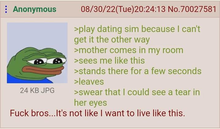 : Anonymous 24 KB JPG 08/30/22(Tue)20:24:13 No.70027581 >play dating sim because I can't get it the other way >mother comes in my room >sees me like this >stands there for a few seconds >leaves >swear that I could see a tear in her eyes F--- bros...It's not like I want to live like this.