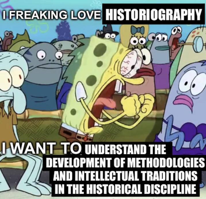 I FREAKING LOVE HISTORIOGRAPHY I WANT TO UNDERSTAND THE DEVELOPMENT OF METHODOLOGIES AND INTELLECTUAL TRADITIONS IN THE HISTORICAL DISCIPLINE 2