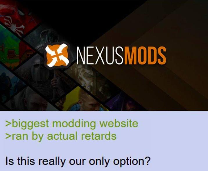 NEXUSMODS >biggest modding website >ran by actual retards Is this really our only option?