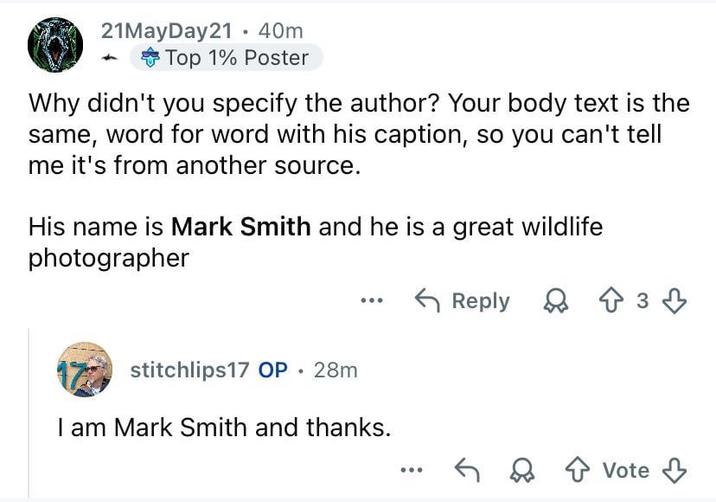 21MayDay21 • 40m Top 1% Poster Why didn't you specify the author? Your body text is the same, word for word with his caption, so you can't tell me it's from another source. His name is Mark Smith and he is a great wildlife photographer stitchlips17 OP. 28m I am Mark Smith and thanks. Reply ↑ 3 ↓ Vote