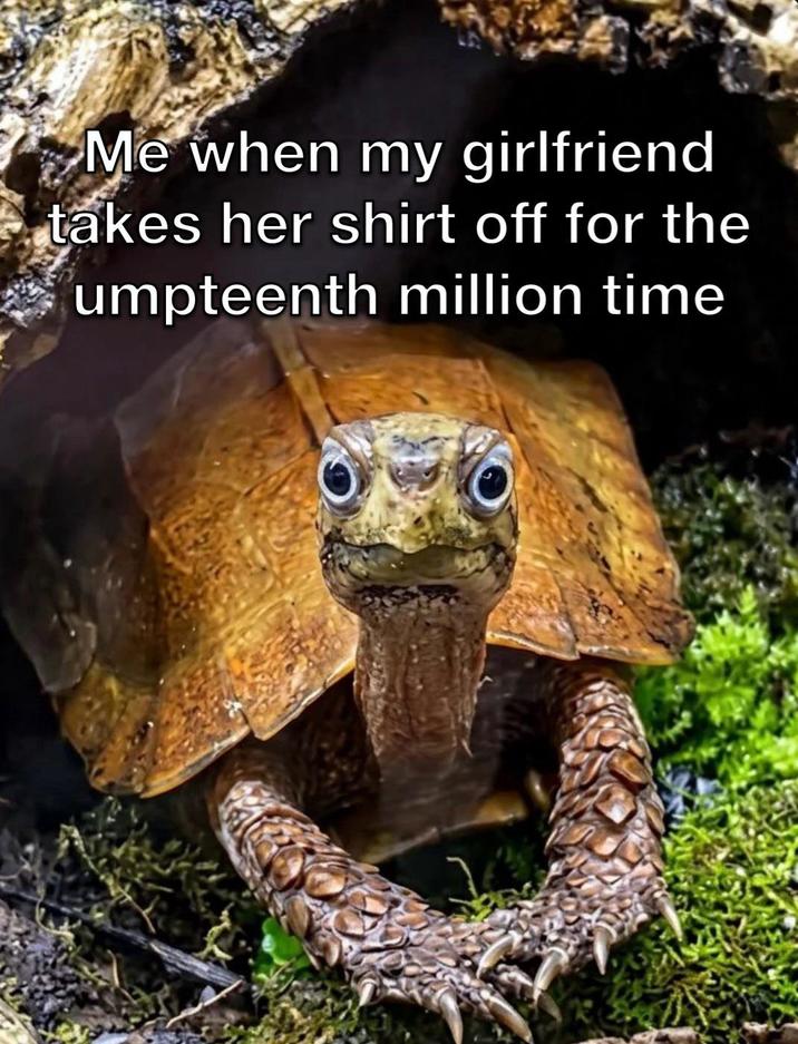 Me when my girlfriend takes her shirt off for the umpteenth million time