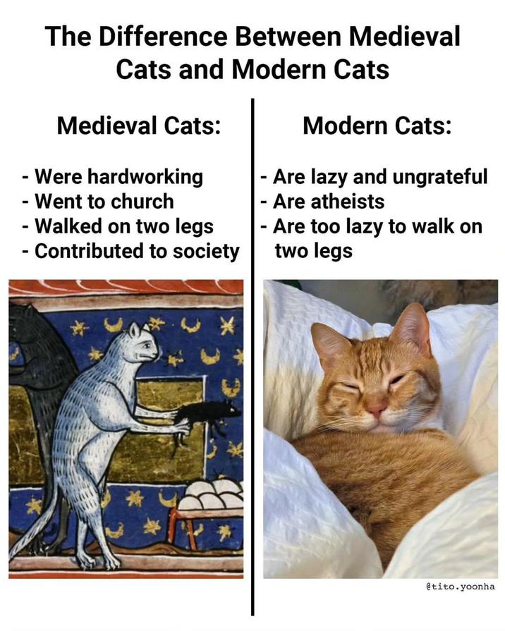 The Difference Between Medieval Cats and Modern Cats Medieval Cats: - Were hardworking - Went to church - Walked on two legs - Contributed to society Modern Cats: - Are lazy and ungrateful - Are atheists - Are too lazy to walk on two legs @tito.yoonha