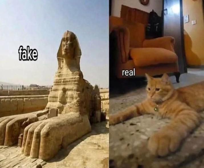 fake real