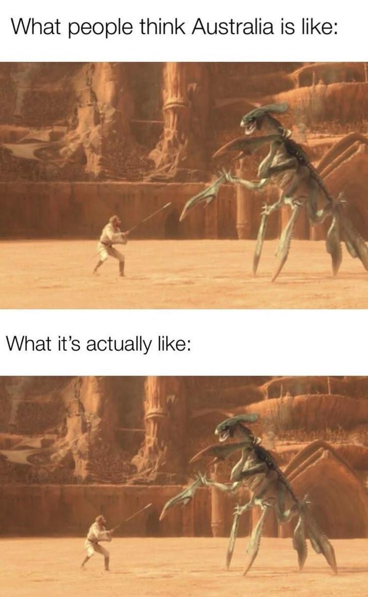 What people think Australia is like: What it's actually like: