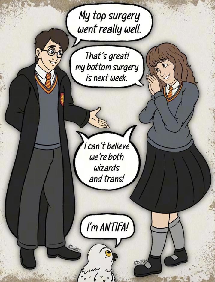 My top surgery went really well. That's great! my bottom surgery is next week. Taylor I can't believe we're both wizards and trans! I'm ANTIFA! 02026 Taylonunifi