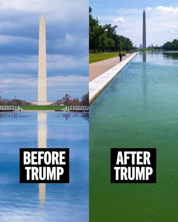 It's become so clear that the paint is peeling off the bottom of the reflecting pool that it's solely Trump's fault and he's responsible for it.