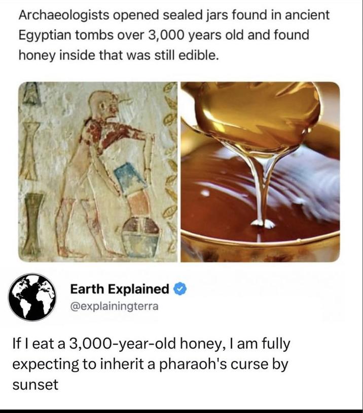 Archaeologists opened sealed jars found in ancient Egyptian tombs over 3,000 years old and found honey inside that was still edible. Earth Explained @explainingterra If I eat a 3,000-year-old honey, I am fully expecting to inherit a pharaoh's curse by sunset