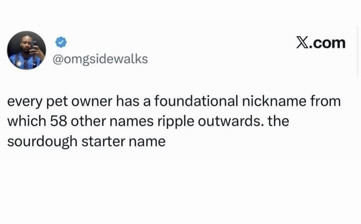 X.com @omgsidewalks every pet owner has a foundational nickname from which 58 other names ripple outwards. the sourdough starter name