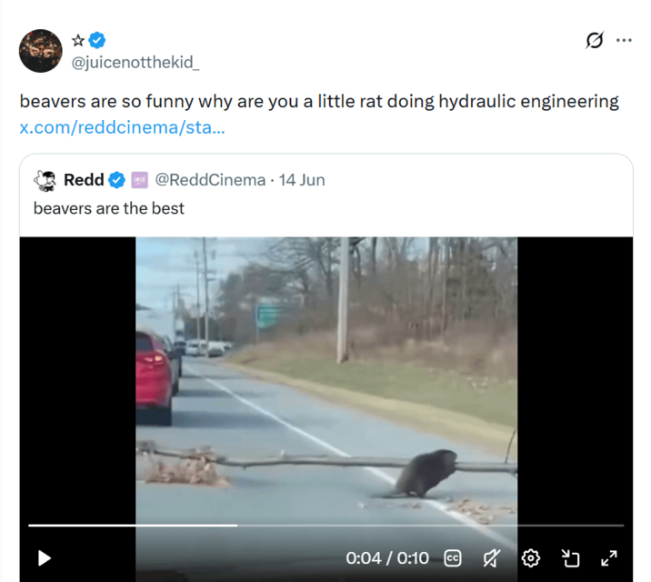 @juicenotthekid_ beavers are so funny why are you a little rat doing hydraulic engineering x.com/reddcinema/sta... Redd RIS@ReddCinema - 14 Jun beavers are the best 0:04 / 0:10 CC ...