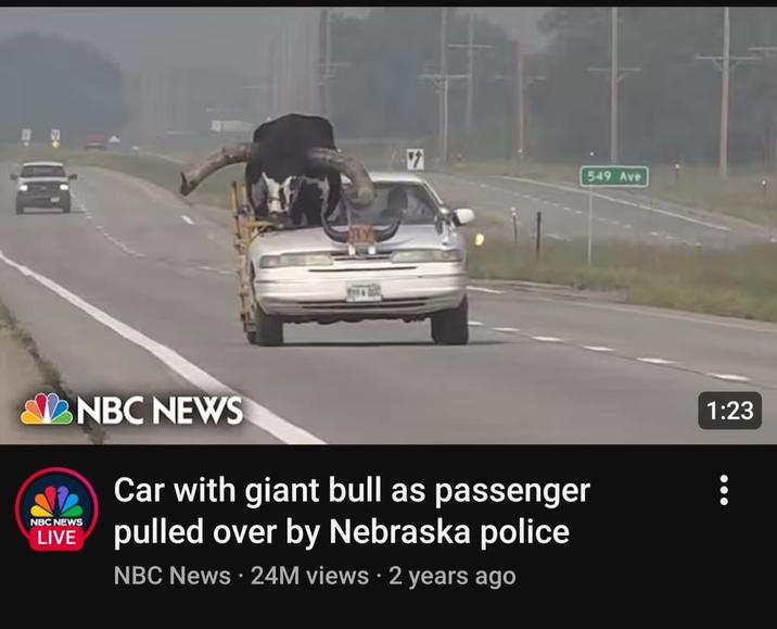7 NBC NEWS Car with giant bull as passenger LIVE pulled over by Nebraska police NBC NEWS NBC News 24M views • 2 years ago . 549 Ave 1:23