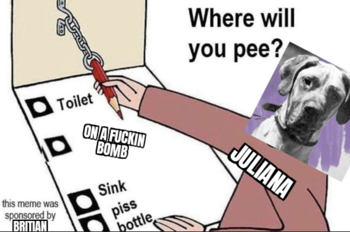 Where will you pee? this meme was sponsored by BRITIAN Toilet ON A F----- BOMB Sink piss bottle JULIANA
