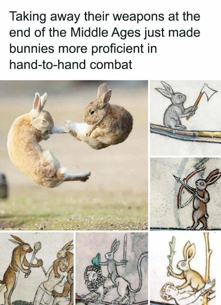 Taking away their weapons at the end of the Middle Ages just made bunnies more proficient in hand-to-hand combat