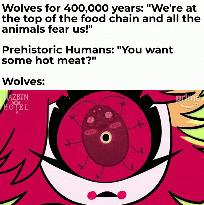 Wolves for 400,000 years: "We're at the top of the food chain and all the animals fear us!" Prehistoric Humans: "You want some hot meat?" Wolves: HAZBIN HOTEL prime