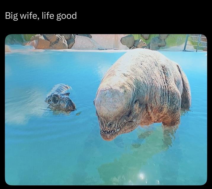 Big wife, life good