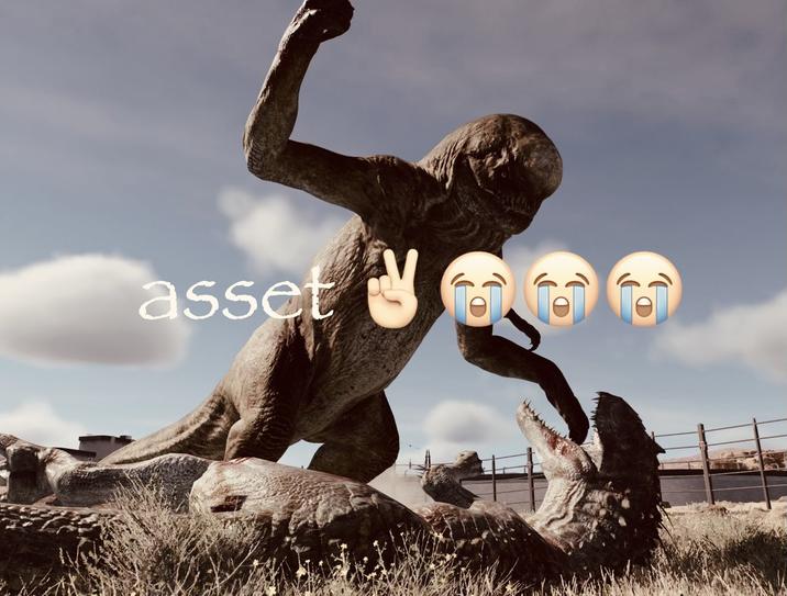 asset W
