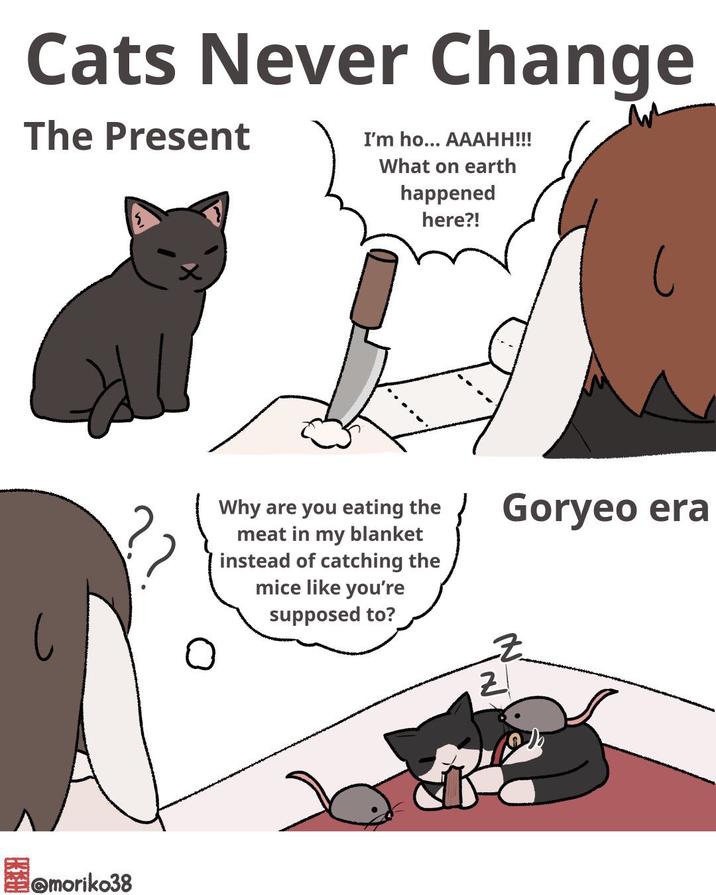 Cats Never Change The Present I'm ho... AAAHH!!! What on earth happened here?! @moriko38 Why are you eating the meat in my blanket instead of catching the mice like you're supposed to? Goryeo era Z