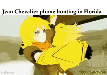 Jean Chevalier plume hunting in Florida imgflip.com Easu-RWEY-Desu