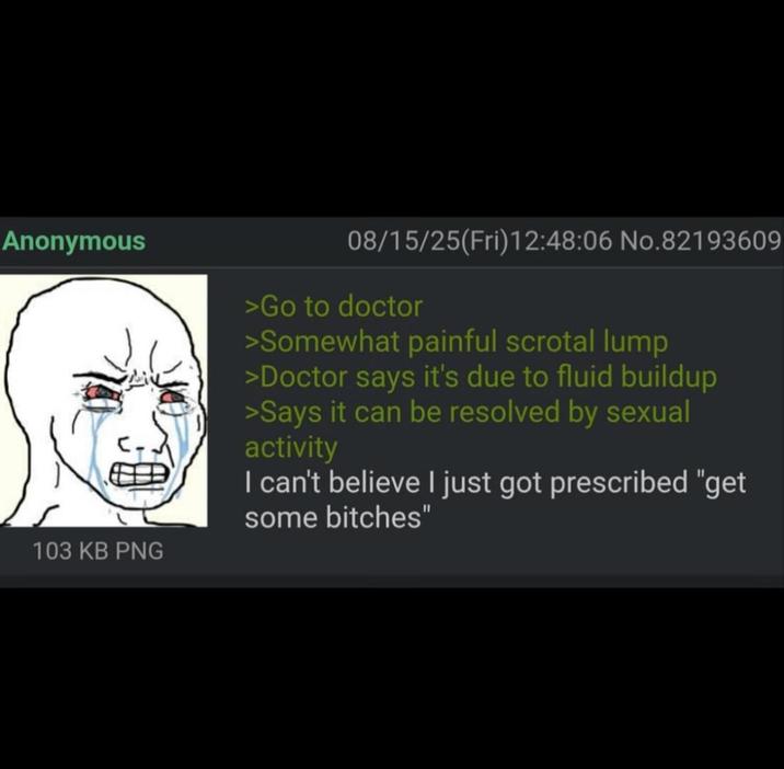 Anonymous 103 KB PNG 08/15/25(Fri)12:48:06 No.82193609 >Go to doctor >Somewhat painful scrotal lump >Doctor says it's due to fluid buildup >Says it can be resolved by sexual activity I can't believe I just got prescribed "get some bitches"
