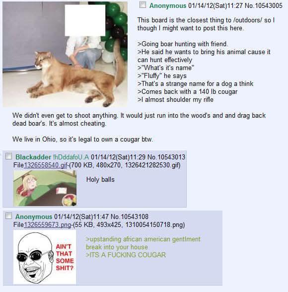 Anonymous 01/14/12(Sat)11:27 No. 10543005 This board is the closest thing to /outdoors/ so I though I might want to post this here. >Going boar hunting with friend. >He said he wants to bring his animal cause it can hunt effectively >"What's it's name" >"Fluffy" he says >That's a strange name for a dog a think >Comes back with a 140 lb cougar >I almost shoulder my rifle We didn't even get to shoot anything. It would just run into the wood's and and drag back dead boar's. It's almost cheating. We live in Ohio, so it's legal to own a cougar btw. Blackadder lhDddafoU A 01/14/12(Sat)11:29 No. 10543013 File 1326558540.gif-(700 KB, 480x270, 1326421282530.gif) Holy balls Anonymous 01/14/12(Sat)11:47 No. 10543108 File 1326559673.png-(55 KB, 493x425, 1310054150718.png) AIN'T THAT SOME S---? >upstanding african american gentiment break into your house >ITS A F------ COUGAR